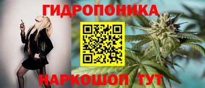 крисы Конаково