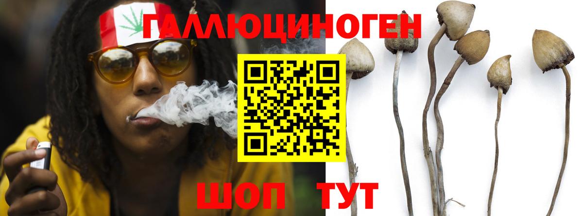 Киров  Галлюциногенные грибы Cubensis  Галлюциногенные грибы Psilocybe  Вход с VPN 